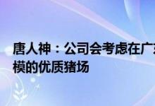 唐人神：公司会考虑在广东、广西、湖南等地区收购较大规模的优质猪场