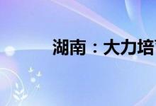 湖南：大力培育预制菜龙头企业