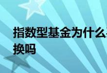 指数型基金为什么买不到 指数型基金不能转换吗