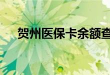 贺州医保卡余额查询 贺州医疗保险查询