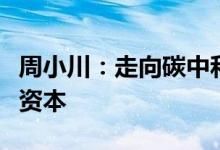 周小川：走向碳中和的大量资金还得动员民间资本
