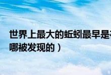 世界上最大的蚯蚓最早是在哪发现的（世界上最大的蚯蚓在哪被发现的）