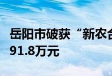 岳阳市破获“新农合”保险金诈骗案涉案金额91.8万元