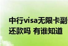 中行visa无限卡副卡还款 中行的附卡可直接还款吗 有谁知道