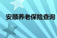 安顺养老保险查询 安顺个人养老保险查询