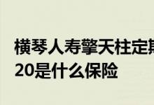 横琴人寿擎天柱定期寿险2020 横琴擎天柱2020是什么保险