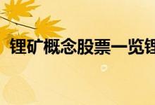锂矿概念股票一览锂矿上市公司龙头有哪些