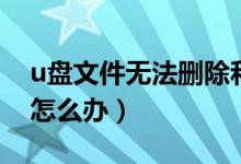 u盘文件无法删除和粉碎（u盘文件无法删除怎么办）
