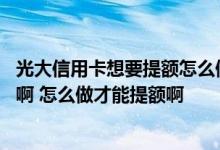 光大信用卡想要提额怎么做 光大信用卡可不可以在网上提额啊 怎么做才能提额啊