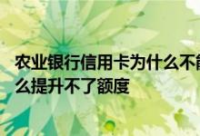 农业银行信用卡为什么不能提额度 我的农业银行信用卡为什么提升不了额度