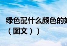 绿色配什么颜色的好看（绿色配哪种颜色好看（图文））