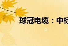 球冠电缆：中标国家电网相关项目