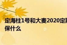 定海柱1号和大麦2020定期寿险 大麦定海柱联名款定期寿险保什么