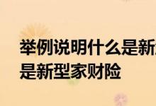 举例说明什么是新型的家财险 举例说明什么是新型家财险