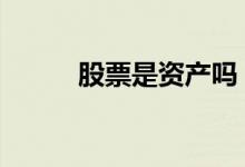 股票是资产吗 股票是其它资产吗