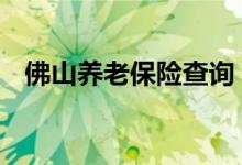 佛山养老保险查询 佛山个人养老保险查询