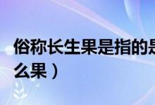 俗称长生果是指的是什么（俗称长生果是指什么果）