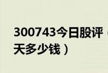 300743今日股评（天地数码300743股票今天多少钱）