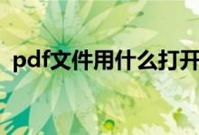 pdf文件用什么打开（pdf文件用什么打开）