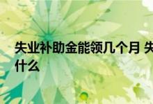 失业补助金能领几个月 失业补助金领取条件及标准2022是什么 