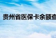 贵州省医保卡余额查询 贵州省医疗保险查询