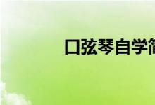 口弦琴自学简单教程（口弦）