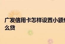 广发信用卡怎样设置小额免密码 广发信用卡申请小额贷款怎么贷