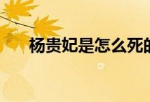 杨贵妃是怎么死的（杨贵妃怎么死的）