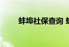 蚌埠社保查询 蚌埠个人社保卡查询