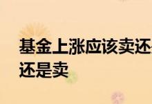 基金上涨应该卖还是买 买基金早盘上涨要买还是卖