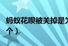 蚂蚁花呗被关掉是为什么（主要原因有以下几个）