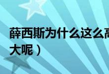薛西斯为什么这么高大（薛西斯为什么这么高大呢）