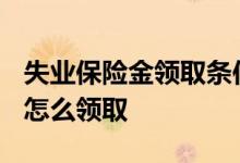 失业保险金领取条件及标准2022 失业保险金怎么领取 