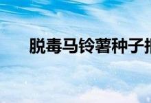 脱毒马铃薯种子报价表（脱毒马铃薯）