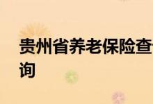 贵州省养老保险查询 贵州省个人养老保险查询