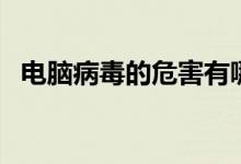 电脑病毒的危害有哪些（电脑病毒的危害）