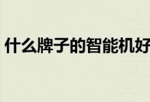什么牌子的智能机好（性价比高的品牌推荐）