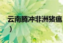 云南腾冲非洲猪瘟（2019猪瘟病毒最新消息）