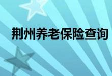 荆州养老保险查询 荆州个人养老保险查询