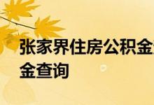 张家界住房公积金查询 张家界个人住房公积金查询