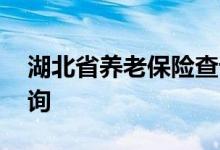 湖北省养老保险查询 湖北省个人养老保险查询