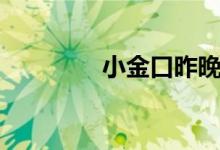 小金口昨晚新闻（小金口）
