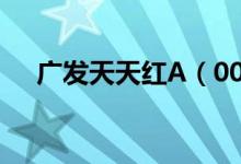 广发天天红A（000389）基金投资分析