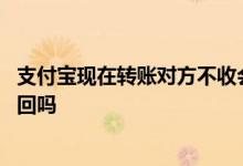支付宝现在转账对方不收会退回吗 支付宝转账对方不收会退回吗