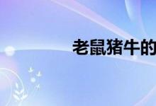 老鼠猪牛的故事（老鼠猪）