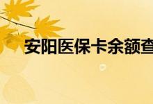 安阳医保卡余额查询 安阳医疗保险查询