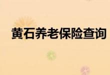 黄石养老保险查询 黄石个人养老保险查询