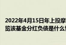 2022年4月15日年上投摩根内需动力混合基金持股人结构一览该基金分红负债是什么情况