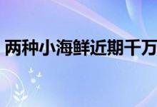 两种小海鲜近期千万别吃（消费者要注意啦）