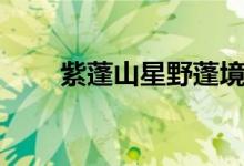 紫蓬山星野蓬境亲子乐园（紫蓬山）